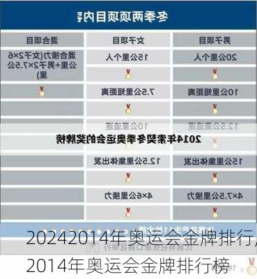 2014年奥运会金牌排行,2014年奥运会金牌排行榜