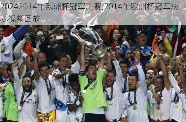 2014年欧洲杯冠军决赛,2014年欧洲杯冠军决赛视频回放