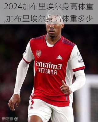 加布里埃尔身高体重,加布里埃尔身高体重多少