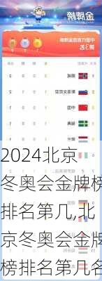 北京冬奥会金牌榜排名第几,北京冬奥会金牌榜排名第几名
