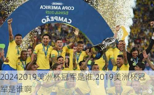 2019美洲杯冠军是谁,2019美洲杯冠军是谁啊