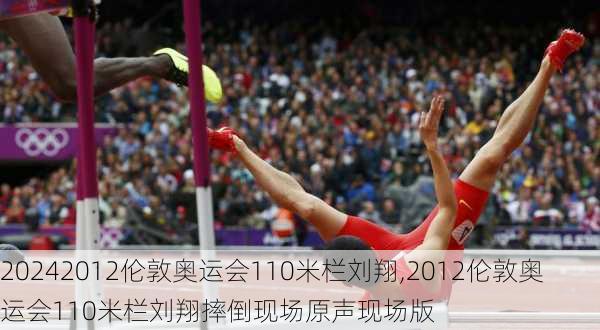 2012伦敦奥运会110米栏刘翔,2012伦敦奥运会110米栏刘翔摔倒现场原声现场版