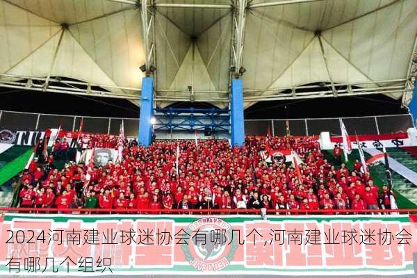 河南建业球迷协会有哪几个,河南建业球迷协会有哪几个组织