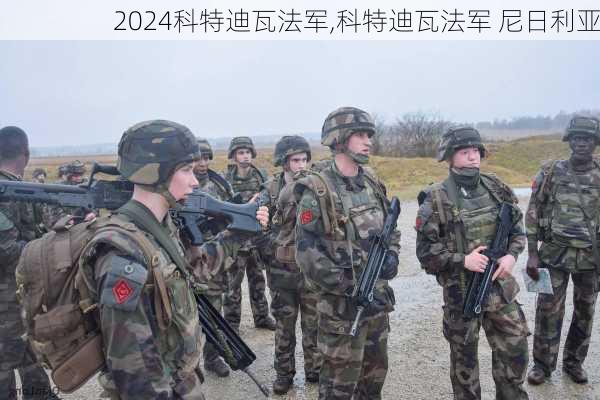 科特迪瓦法军,科特迪瓦法军 尼日利亚