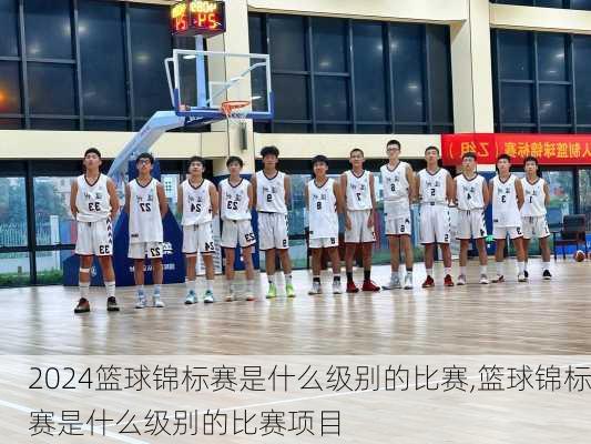 篮球锦标赛是什么级别的比赛,篮球锦标赛是什么级别的比赛项目