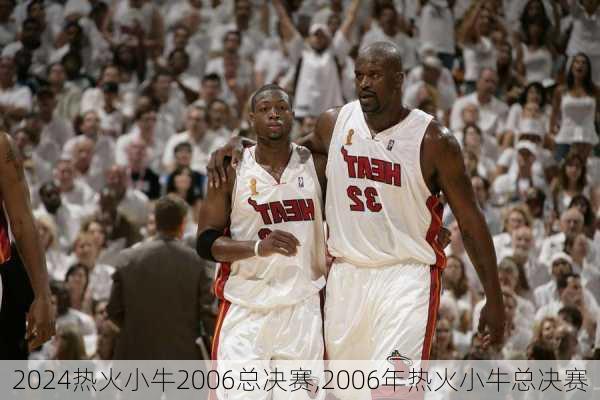 热火小牛2006总决赛,2006年热火小牛总决赛