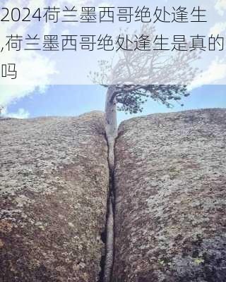 荷兰墨西哥绝处逢生,荷兰墨西哥绝处逢生是真的吗