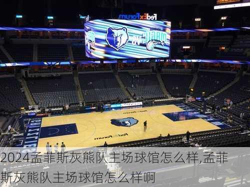 孟菲斯灰熊队主场球馆怎么样,孟菲斯灰熊队主场球馆怎么样啊