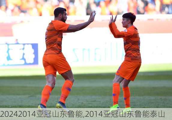 2014亚冠山东鲁能,2014亚冠山东鲁能泰山