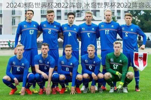 冰岛世界杯2022阵容,冰岛世界杯2022阵容表