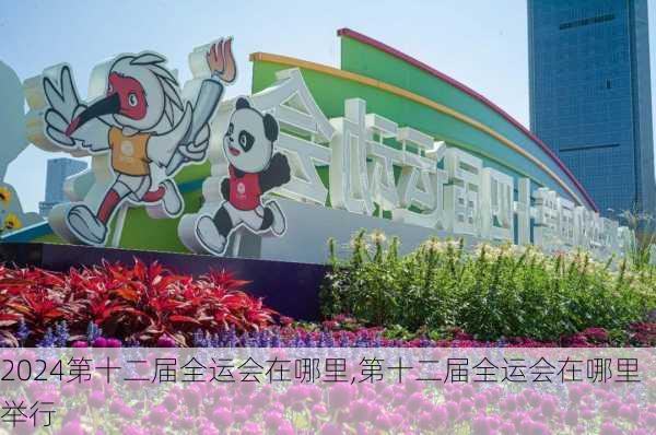 第十二届全运会在哪里,第十二届全运会在哪里举行