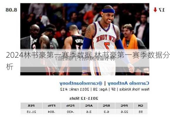 林书豪第一赛季数据,林书豪第一赛季数据分析