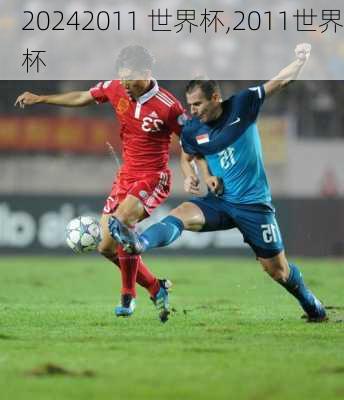 2011 世界杯,2011世界杯
