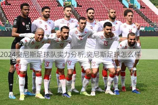 突尼斯足球队实力分析,突尼斯足球怎么样