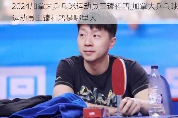 加拿大乒乓球运动员王臻祖籍,加拿大乒乓球运动员王臻祖籍是哪里人