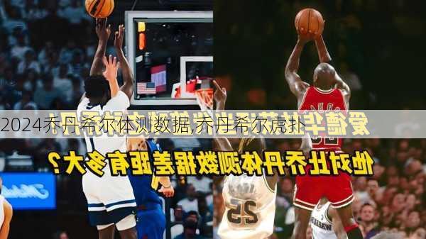 乔丹希尔体测数据,乔丹希尔虎扑