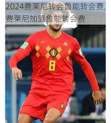 费莱尼转会鲁能转会费,费莱尼加盟鲁能转会费