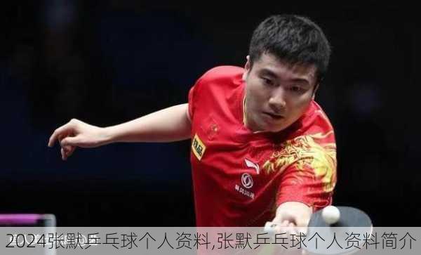 张默乒乓球个人资料,张默乒乓球个人资料简介