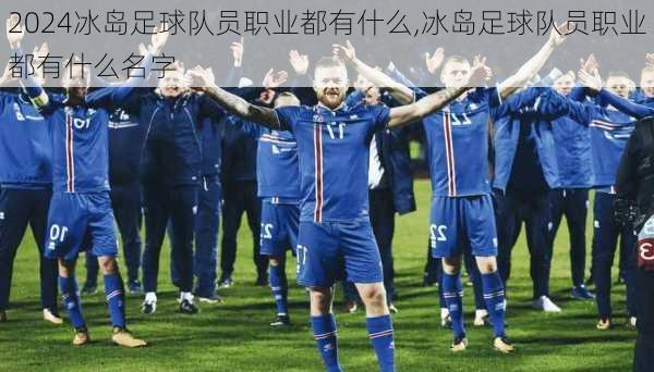 冰岛足球队员职业都有什么,冰岛足球队员职业都有什么名字