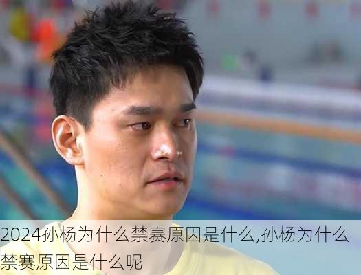 孙杨为什么禁赛原因是什么,孙杨为什么禁赛原因是什么呢