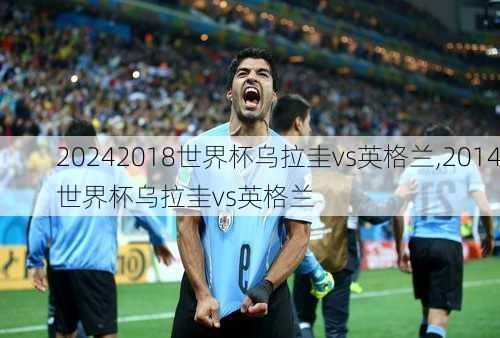 2018世界杯乌拉圭vs英格兰,2014世界杯乌拉圭vs英格兰