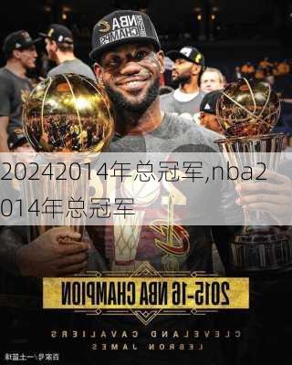 2014年总冠军,nba2014年总冠军