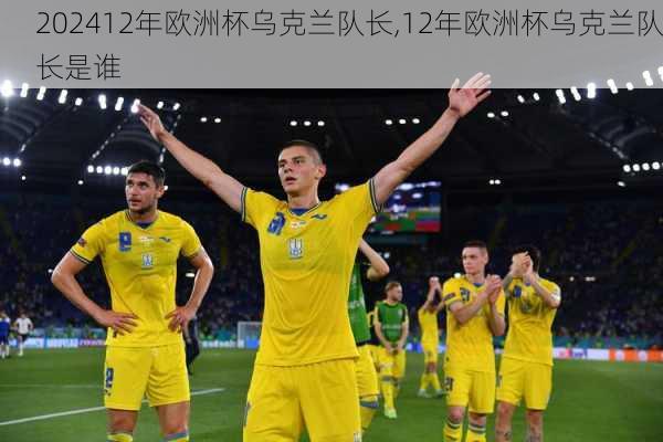 12年欧洲杯乌克兰队长,12年欧洲杯乌克兰队长是谁