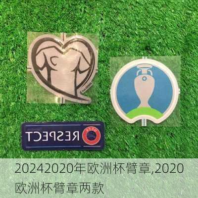 2020年欧洲杯臂章,2020欧洲杯臂章两款
