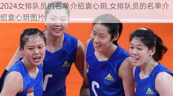女排队员的名单介绍袁心玥,女排队员的名单介绍袁心玥图片