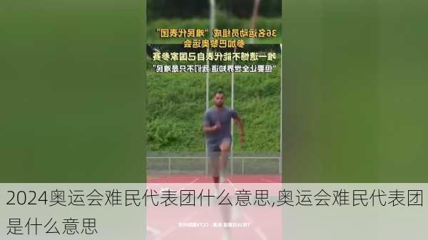 奥运会难民代表团什么意思,奥运会难民代表团是什么意思