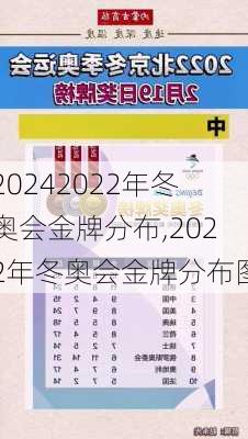 2022年冬奥会金牌分布,2022年冬奥会金牌分布图