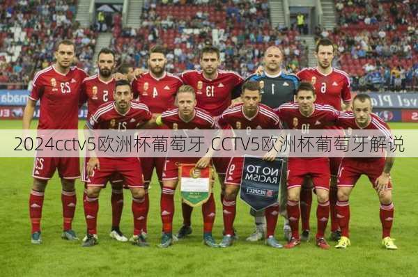 cctv5欧洲杯葡萄牙,CCTV5欧洲杯葡萄牙解说