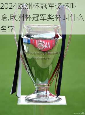 欧洲杯冠军奖杯叫啥,欧洲杯冠军奖杯叫什么名字