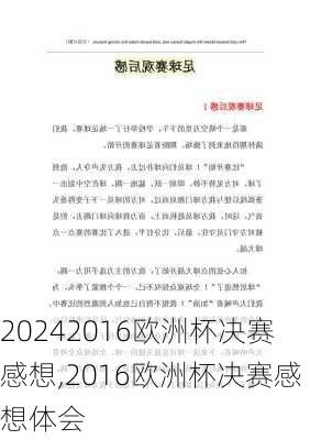 2016欧洲杯决赛感想,2016欧洲杯决赛感想体会