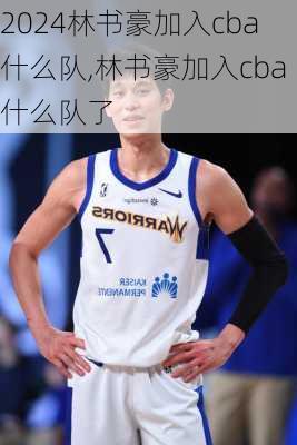 林书豪加入cba什么队,林书豪加入cba什么队了