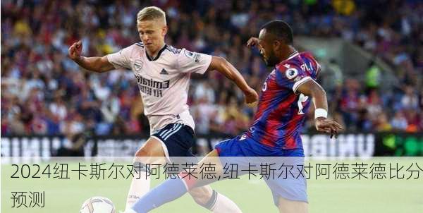 纽卡斯尔对阿德莱德,纽卡斯尔对阿德莱德比分预测