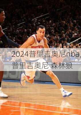 普里吉奥尼nba,普里吉奥尼 森林狼