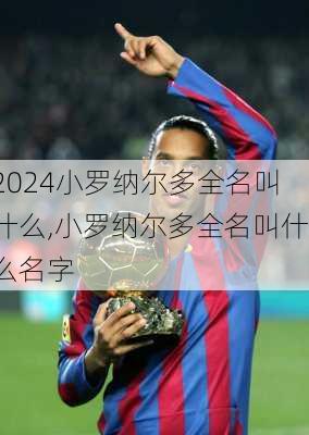 小罗纳尔多全名叫什么,小罗纳尔多全名叫什么名字