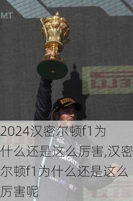 汉密尔顿f1为什么还是这么厉害,汉密尔顿f1为什么还是这么厉害呢