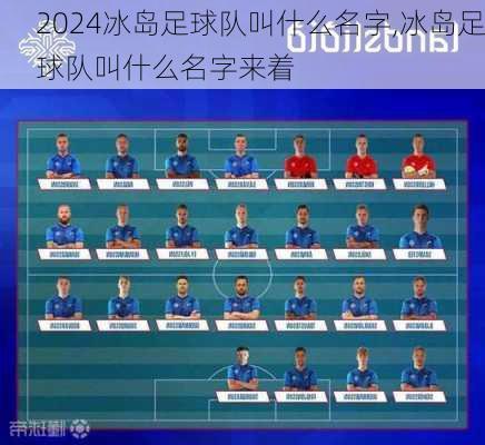 冰岛足球队叫什么名字,冰岛足球队叫什么名字来着