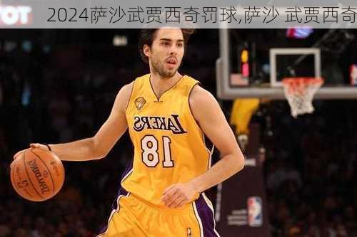 萨沙武贾西奇罚球,萨沙 武贾西奇