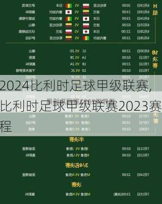 比利时足球甲级联赛,比利时足球甲级联赛2023赛程