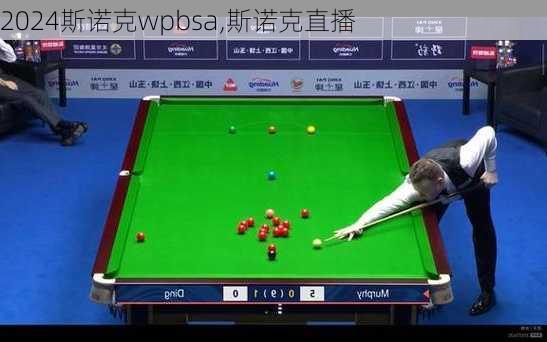 斯诺克wpbsa,斯诺克直播