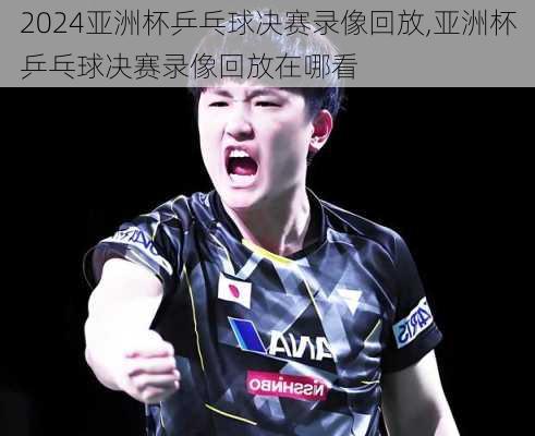亚洲杯乒乓球决赛录像回放,亚洲杯乒乓球决赛录像回放在哪看