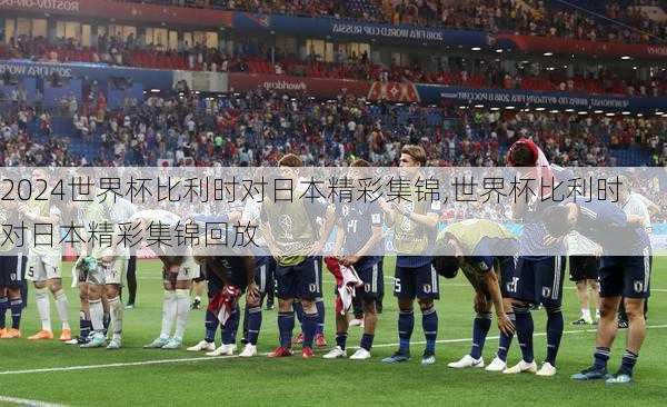 世界杯比利时对日本精彩集锦,世界杯比利时对日本精彩集锦回放