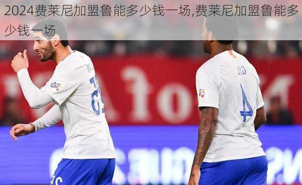 费莱尼加盟鲁能多少钱一场,费莱尼加盟鲁能多少钱一场