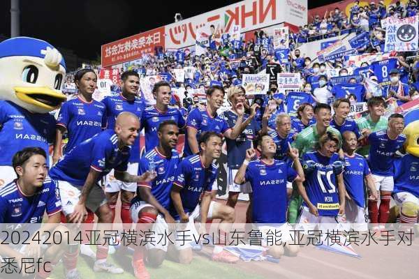 2014亚冠横滨水手vs山东鲁能,亚冠横滨水手对悉尼fc
