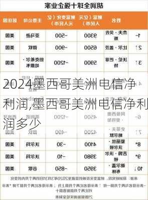 墨西哥美洲电信净利润,墨西哥美洲电信净利润多少