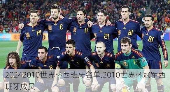 2010世界杯西班牙名单,2010世界杯冠军西班牙成员
