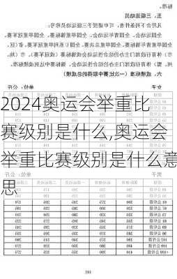 奥运会举重比赛级别是什么,奥运会举重比赛级别是什么意思